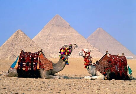 фотографии Летим в Египет на Всё Включено! Целых 11 дней отличного отдыха! 