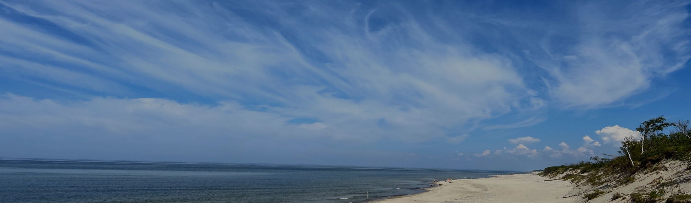 Договор оферты о реализации туристического продукта