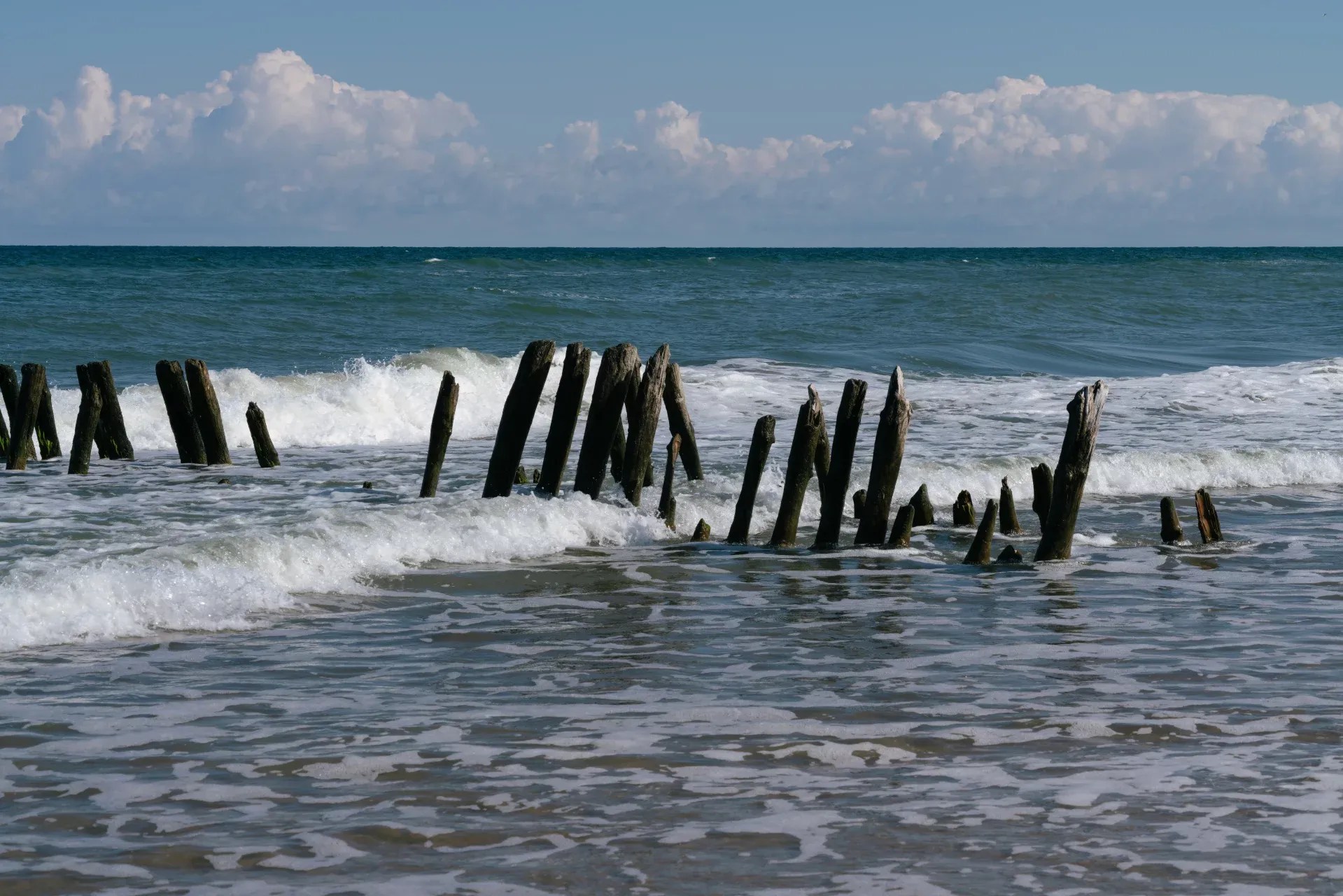 Экскурсия на Куршскую косу с дегустацией в сыроварне «Шаакен Дорф»