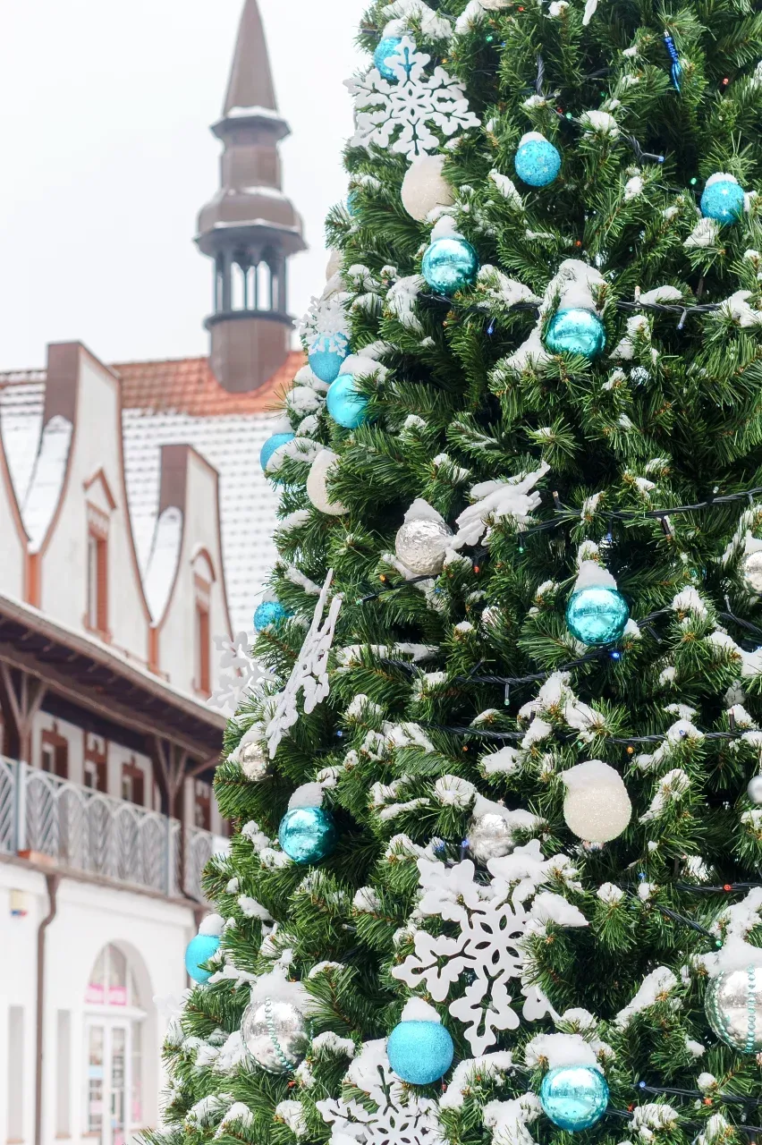 Тур: «Новый год на самом западе России»