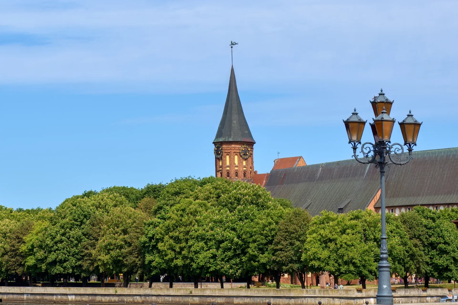 Экскурсия из Зеленоградска «Лес Генриха» – в край императорских угодий»