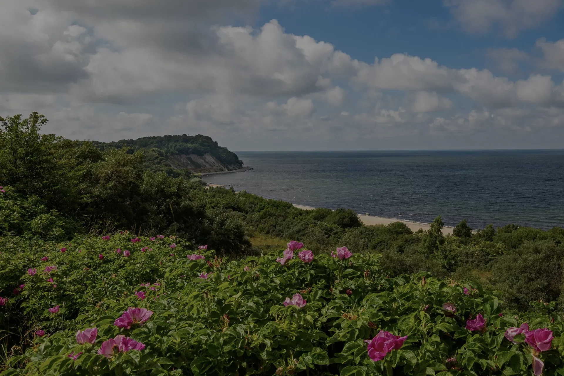 Туры в Калининград