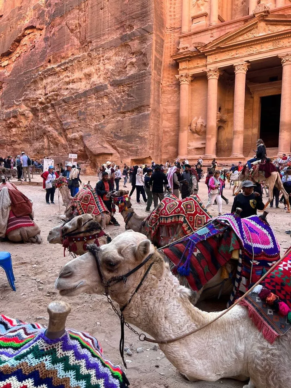 Весенняя магия Иордании!