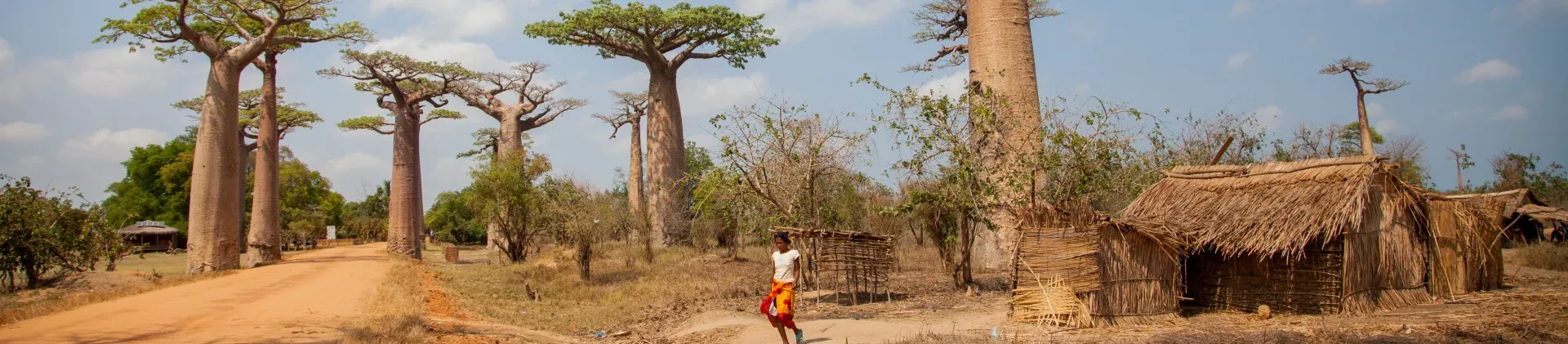 Туры на Мадагаскар