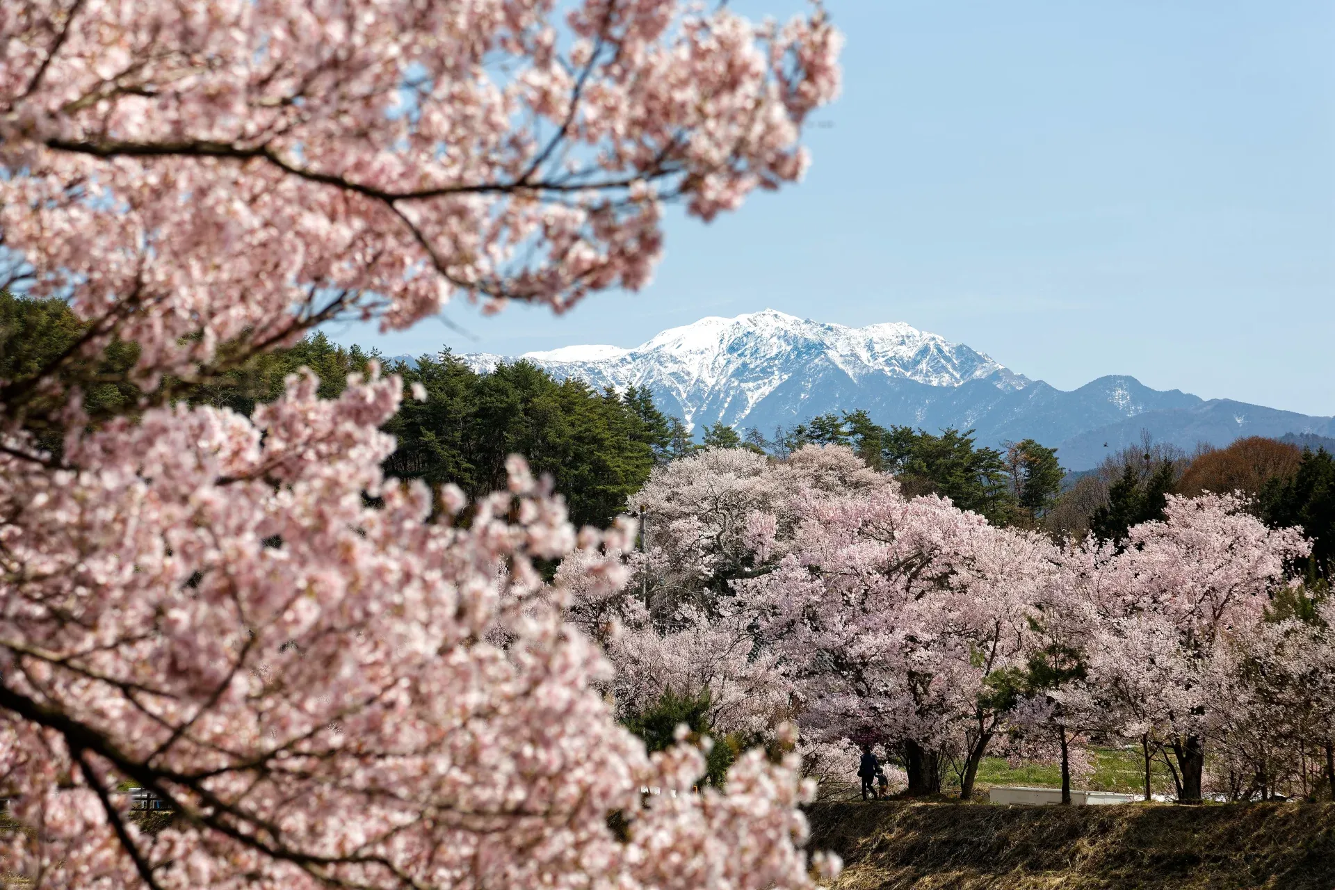Туры в Японию