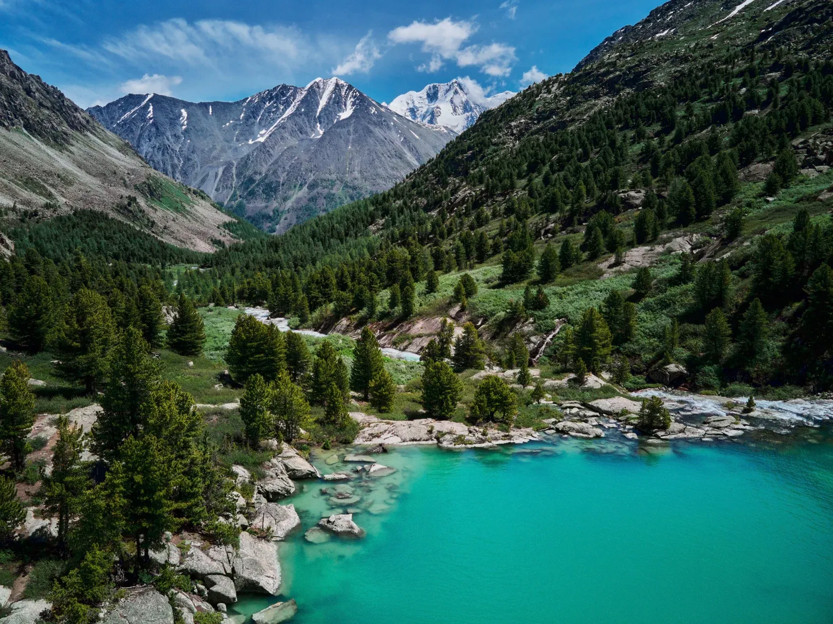 Визит Алтая