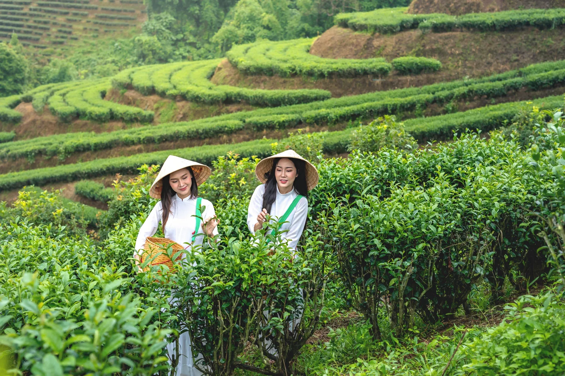 Туры во Вьетнам весной из Калининграда через Москву