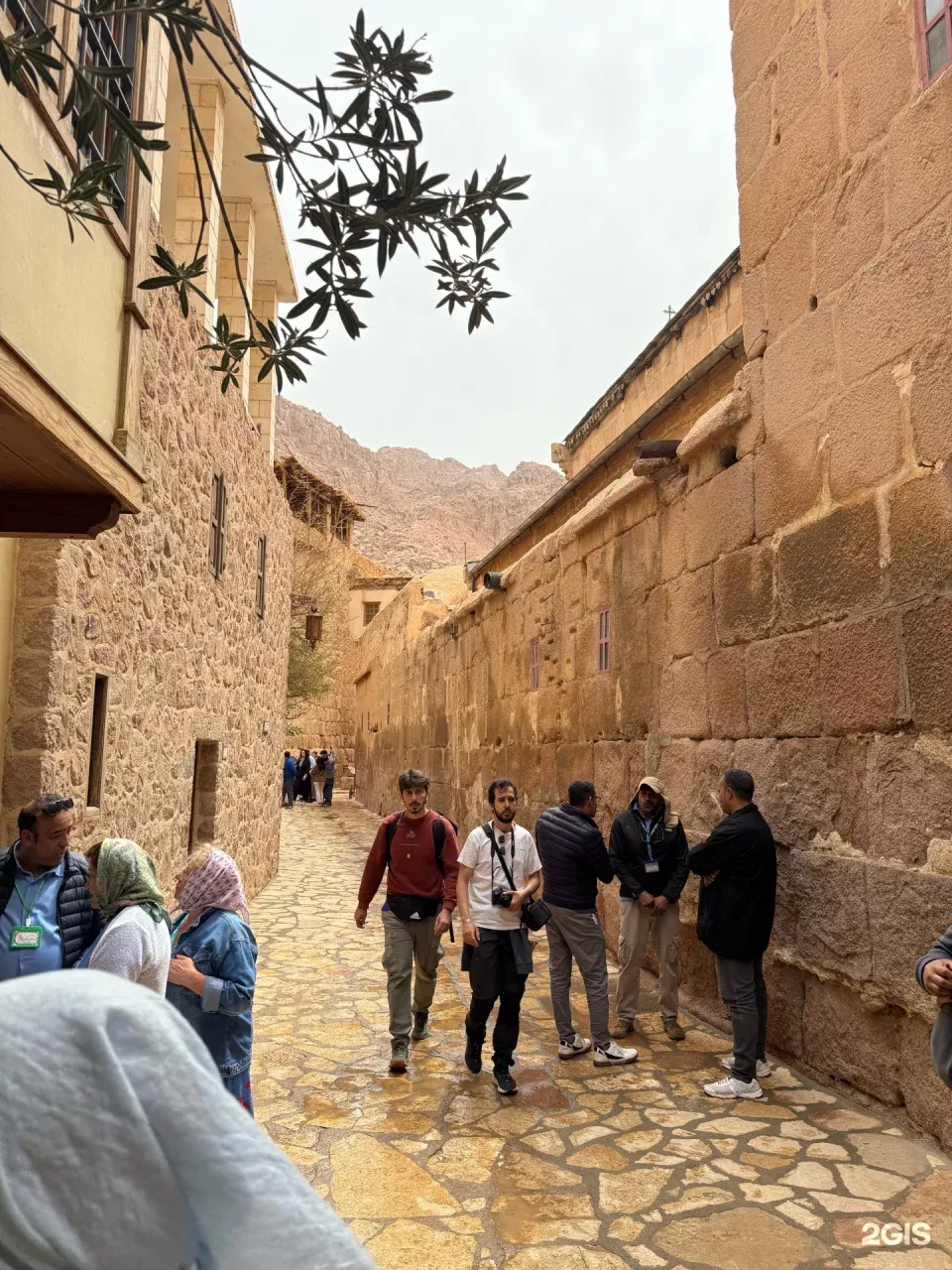 Фото отзыва от пользователя Наталья Большова