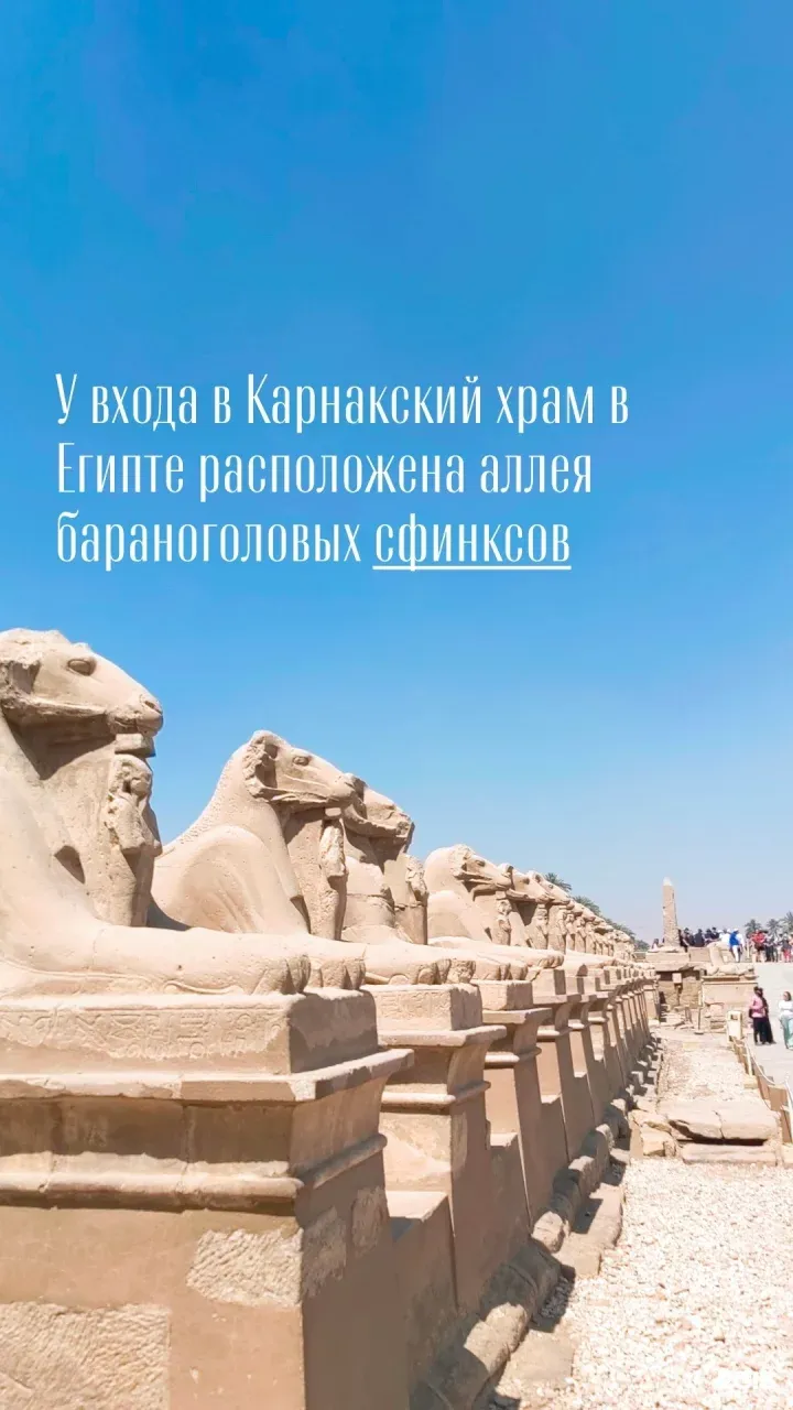 Фото отзыва от пользователя Наталья Аземова