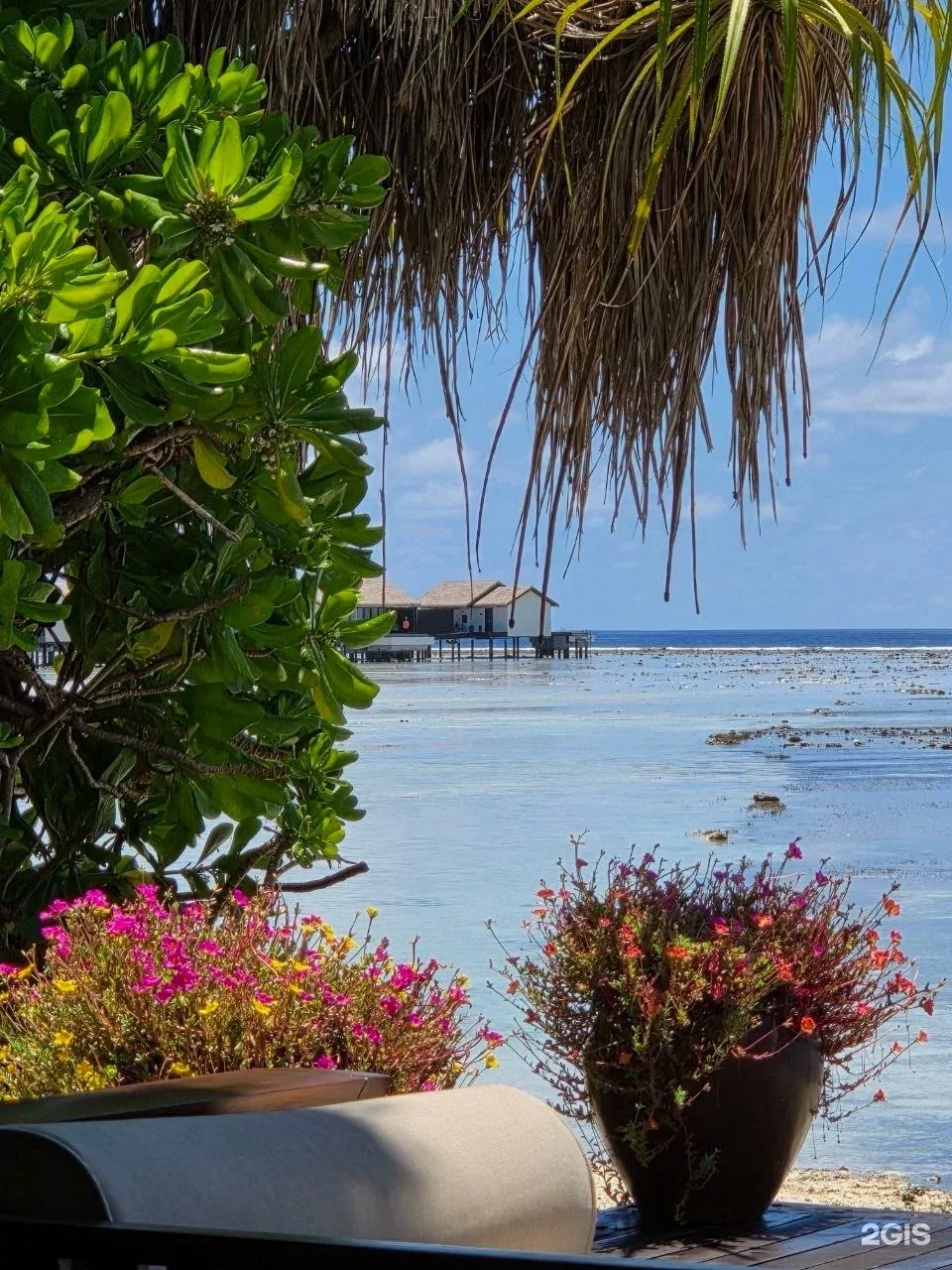 Фото отзыва от пользователя Наталия Борнякова Фото отзыва от пользователя Наталия Борнякова