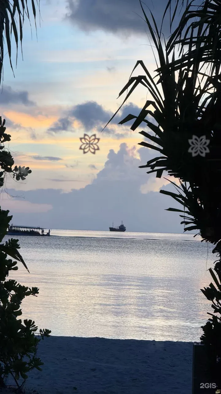 Фото отзыва от пользователя Наталия Борнякова Фото отзыва от пользователя Наталия Борнякова