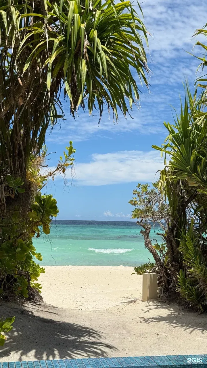 Фото отзыва от пользователя Наталия Борнякова Фото отзыва от пользователя Наталия Борнякова