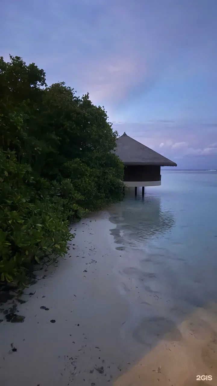 Фото отзыва от пользователя Наталия Борнякова Фото отзыва от пользователя Наталия Борнякова