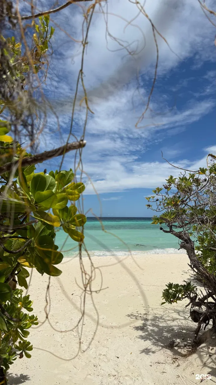 Фото отзыва от пользователя Наталия Борнякова Фото отзыва от пользователя Наталия Борнякова