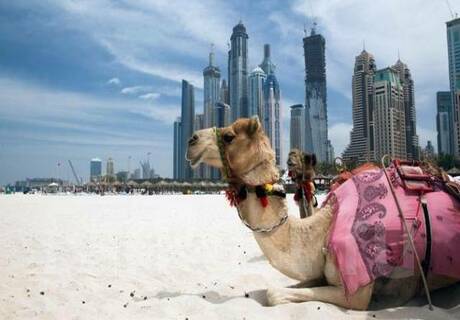 фотографии Прекрасные Эмираты ждут в августе! Летим! 