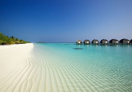 фотографии "Летим на 10 дней на Мальдивы в июле!"..