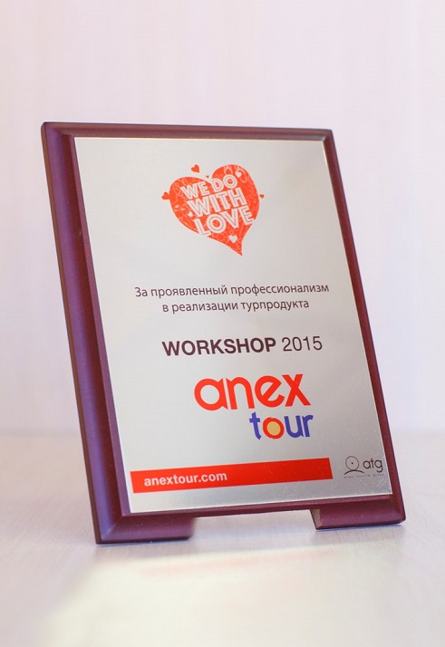 Сертификат "Аннекс workshop 2015 фото награды"