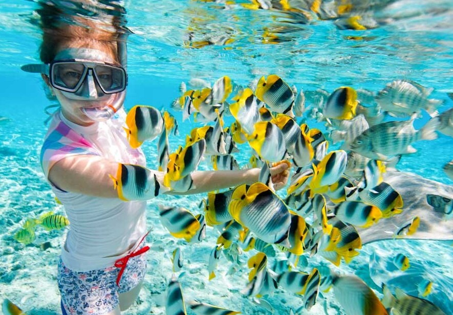 фотографии Тур в Шарм-эль-Шейх из Калининграда на 8 дней в сентябре! Огненные цены! 