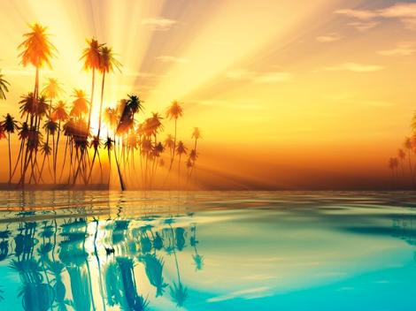 фотографии тура "Лучшие курорты в Доминиканской Республике". . фото тура