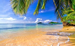 фото Невероятно низкая цена на январский тур в Индию! Юг Гоа ждет тебя! Летим на 2 недельки!