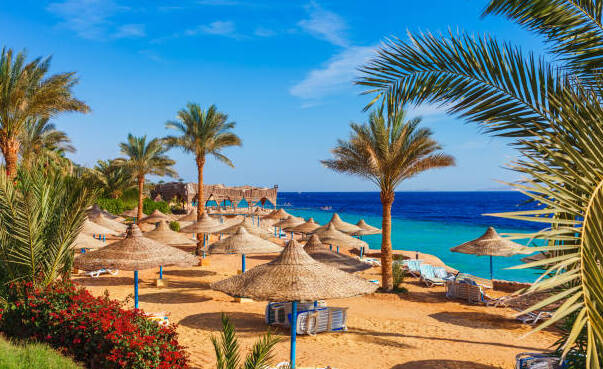 фото Февраль станет ярче с туром в Египет! Летим в Шарм-эль-Шейх в конце зимы!