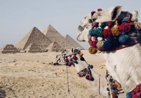 фотографии На 7 дней в июне летим в Шарм-эль-Шейх! Прямые вылеты из Калининграда! 