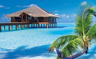 фото В феврале летим на Мальдивы! Цена снижена!