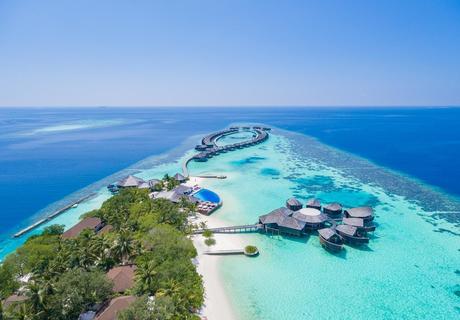фотографии 11 прекрасных дней Мальдивского рая! Летим в августе! 