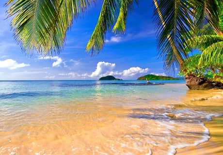 фотографии Невероятно низкая цена на январский тур в Индию! Юг Гоа ждет тебя! Летим на 2 недельки! 