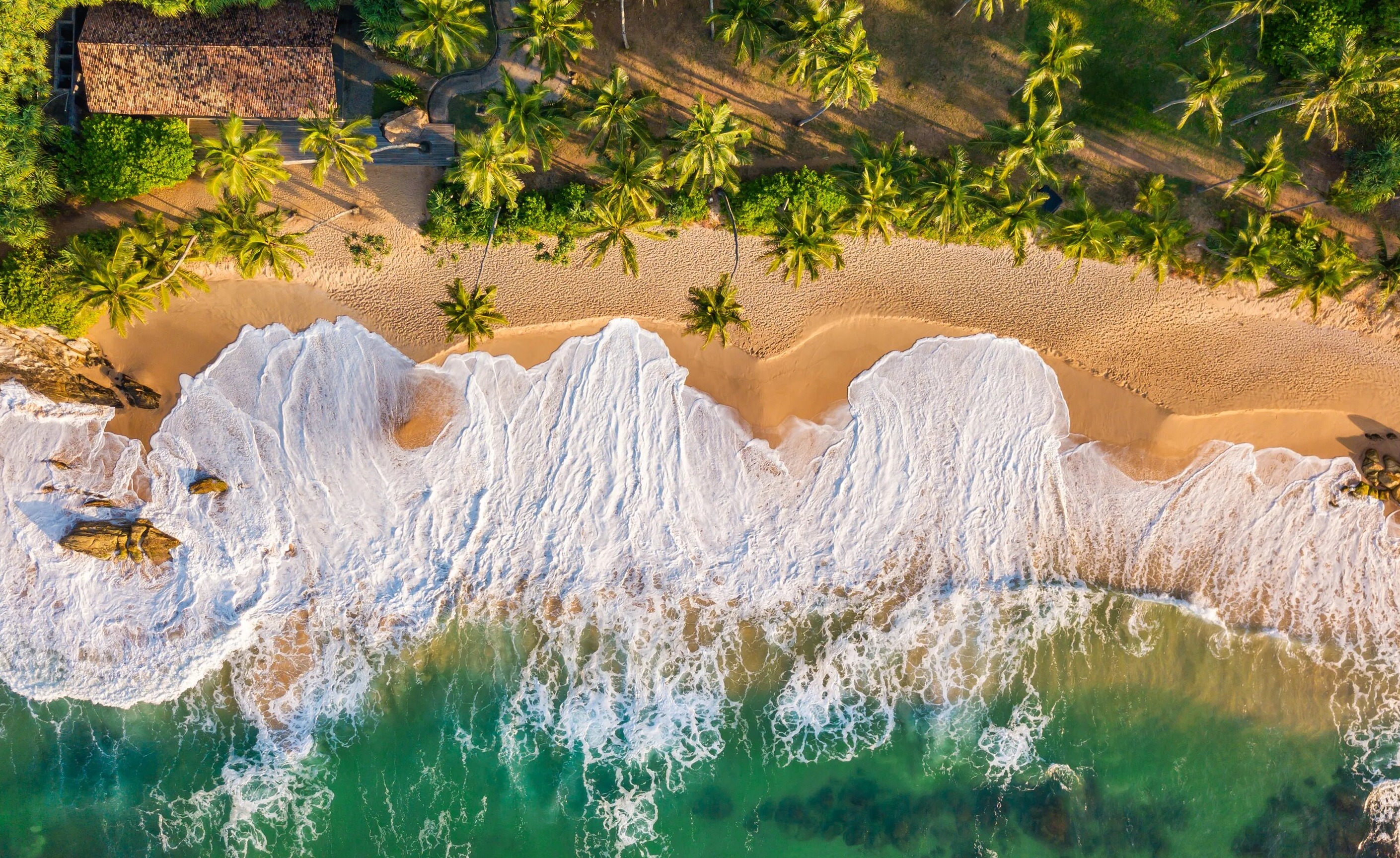 Туры на Шри-Ланку