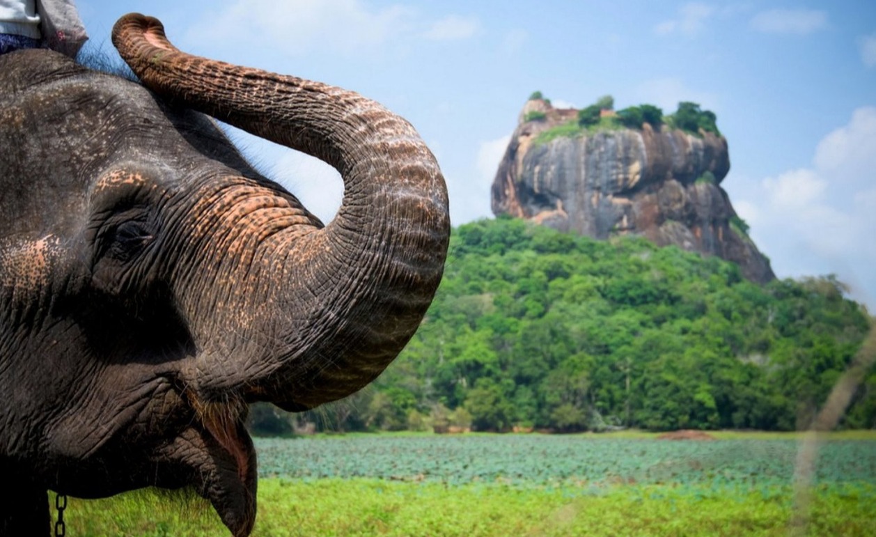 фото Майские праздники на Шри-Ланке! 11 дней погружения в мир экзотики!