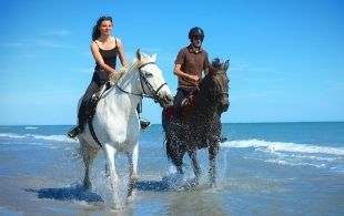 фото экскурсии Вдоль моря верхом на лошади!