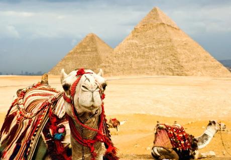 фотографии "В мае надо лететь в Египет! 10 дней в Шарм-Эль-Шейхе!"..