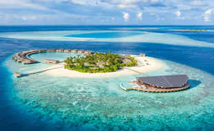 фото В конце января летим на Мальдивы! Отличное предложение!