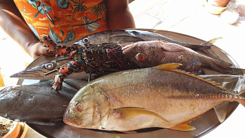 Профессионалы высшего класса!