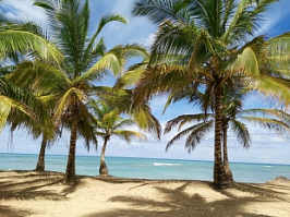 Безумно понравилось! Отличная работа!