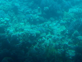 Теперь отдых только с вами)))