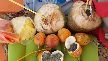 Профессионалы высшего класса!