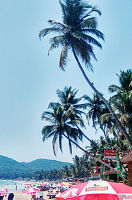 благодарность за отдых в Гоа)