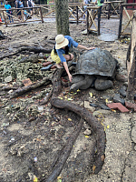 Шикарный отдых !!!