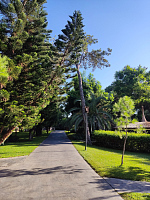 Прекрасный отдых в Турции