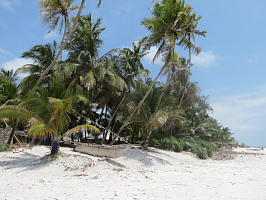 Отдыхали в паре мы на Занзибаре.