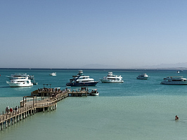 Незабываемая поездка в Египет. 