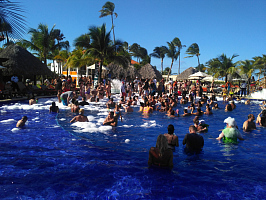 Остались довольны