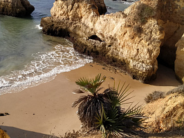 Португалия побережье Алгарве, Фаро, Лагош, мыс Сагреш.