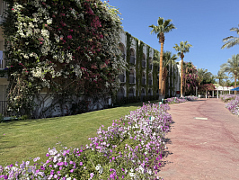 Незабываемая поездка в Египет. 