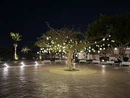 Незабываемая поездка в Египет. 